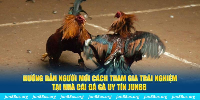 fe8bet loi game dot kich ket noi may chu that bai