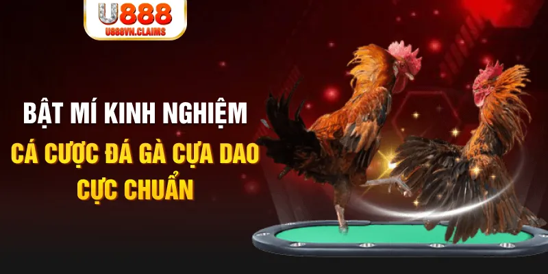 fe8bet xổ số miền nam xổ số miền nam