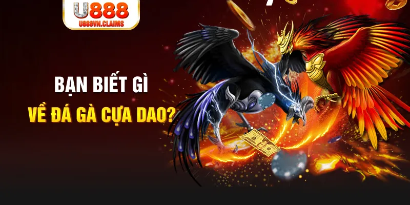 fe8bet quay thử xổ số miền nam