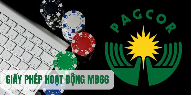 fe8bet casino máy tính