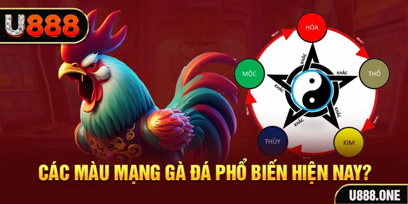 fe8bet FTG Điện Tử