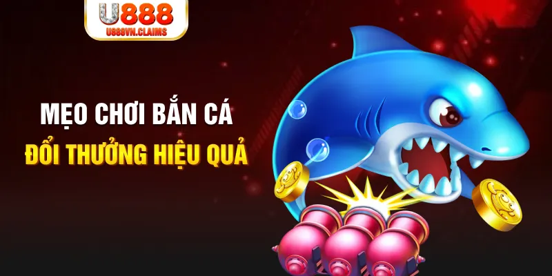 fe8bet baccarat có hợp pháp không