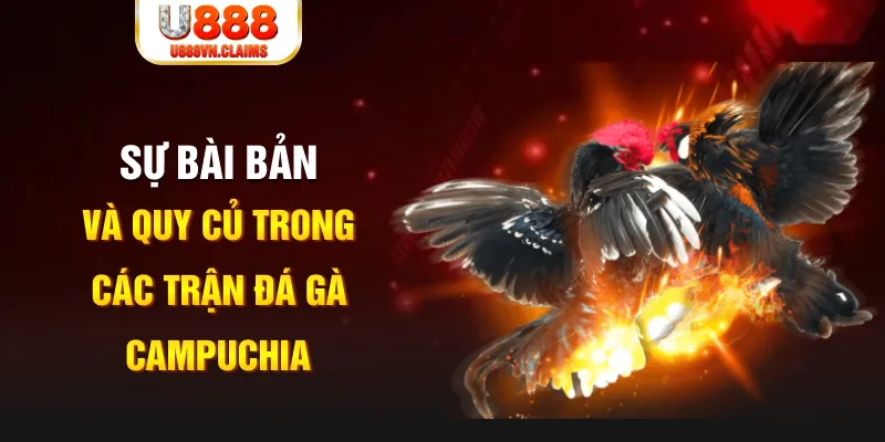 fe8bet PG Điện Tử