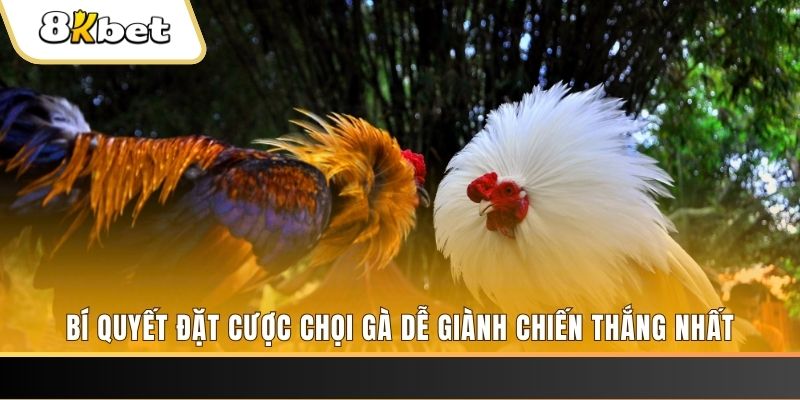 fe8bet xổ số thứ hai hàng tuần