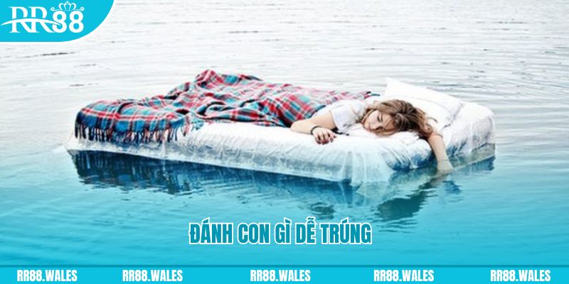 fe8bet đăng nhập liêng hàng đầu