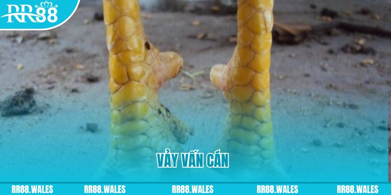 fe8bet đăng nhập nổ hũ hôm nay