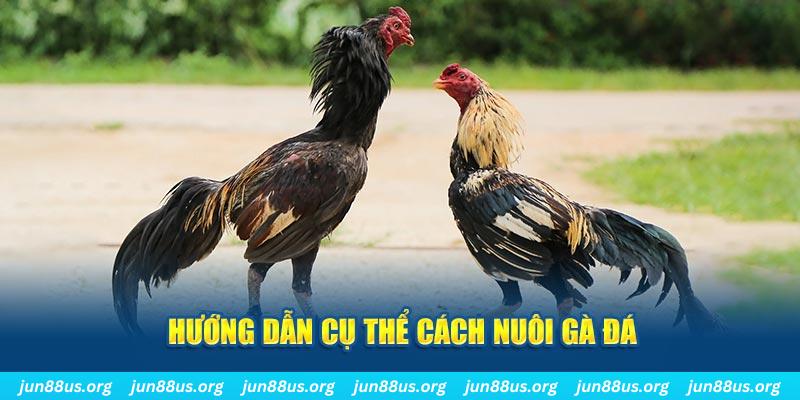 fe8bet đăng nhập sòng bạc số 1