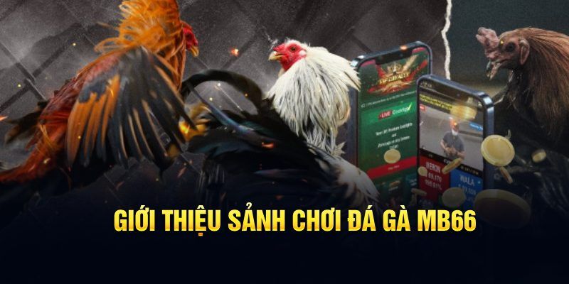 fe8bet đăng nhập poker hôm nay